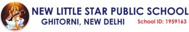 new littlestar public school